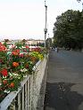 25092009 183703IMG0037